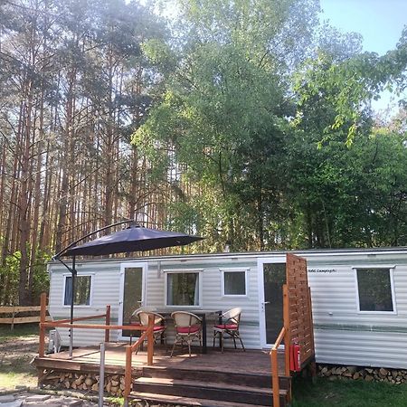 Hotel Tinyhaus Idyllisch Am Waldesrand à Cottbus Extérieur photo