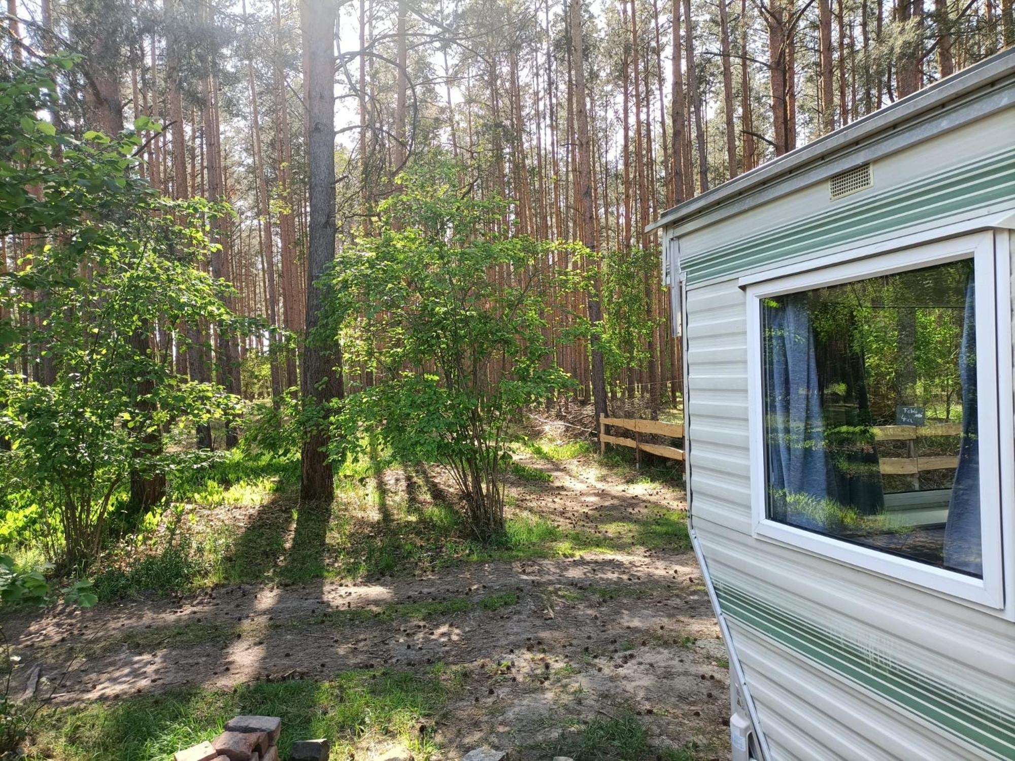 Hotel Tinyhaus Idyllisch Am Waldesrand à Cottbus Extérieur photo