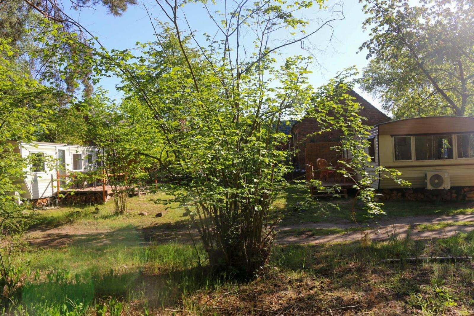 Hotel Tinyhaus Idyllisch Am Waldesrand à Cottbus Extérieur photo